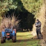 Heath Farm Holiday Cottages. Part of GreenTourism scheme. Cotswold woodland and maintaining biodiversity