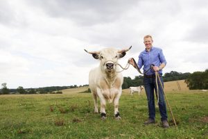 Adam Henson with a White Park bull at Cotswold Farm Park Near Heath Farm Holiday Cottages